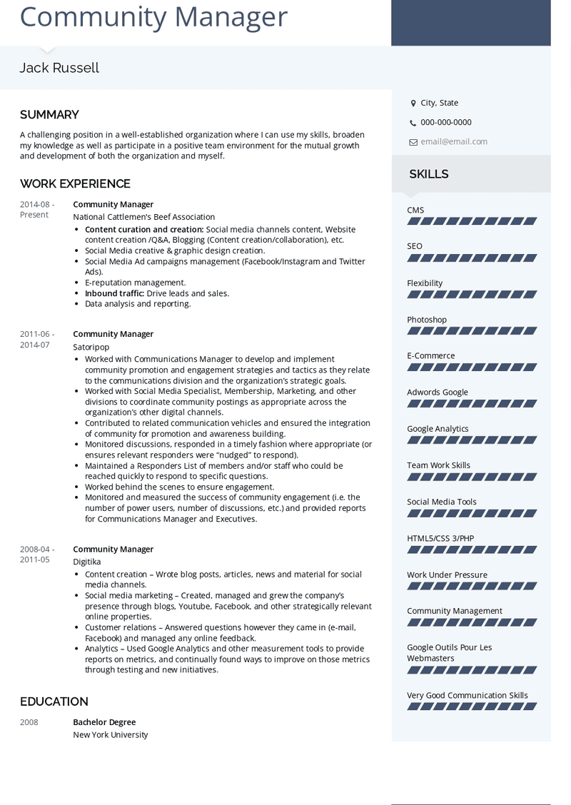 Ceo resume examples 2021