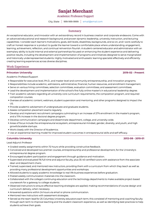 Academic Professor CV Example and Template
