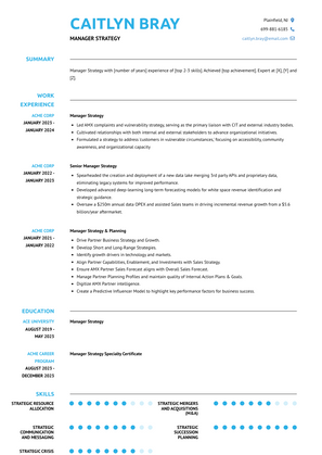 Manager Strategy Resume Sample and Template