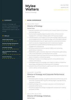 Director Of Strategy Resume Sample and Template