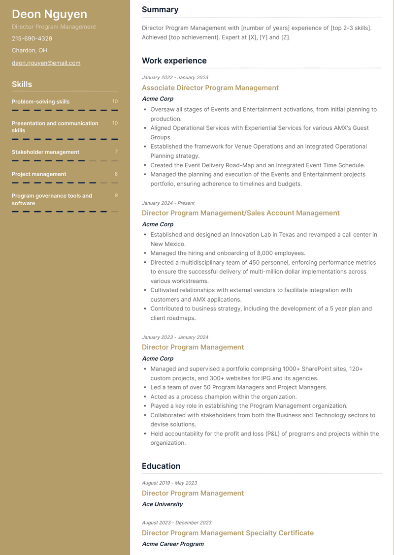 Director Program Management Resume Sample and Template