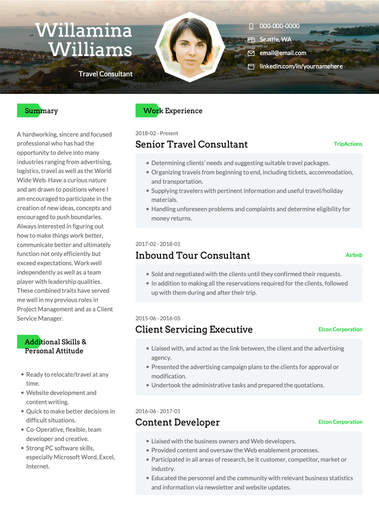 Professional CV Samples: Travel Consultant