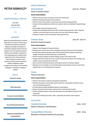 Financial Analyst CV Example and Template