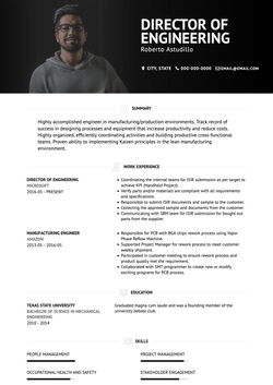 Contemporary CV Template and Example - Brooklyn by VisualCV	