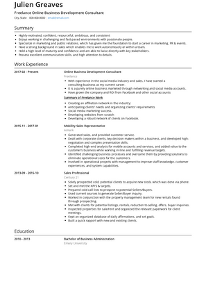 Freelance Online Business Development Consultant Resume Sample and Template