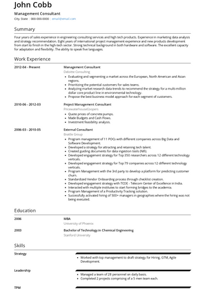 Management Consultant Resume Sample and Template
