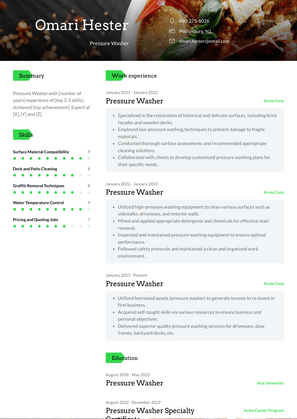 Pressure Washer Resume Sample and Template