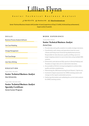 Senior Technical Business Analyst Resume Sample and Template
