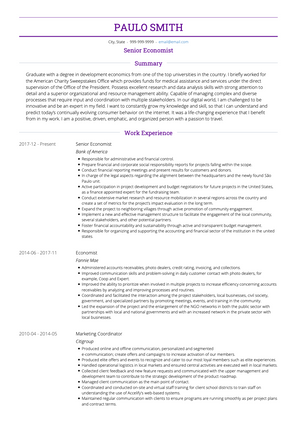 Economist CV Example and Template