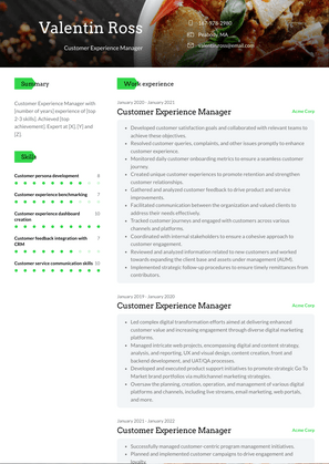 Customer Experience Manager Resume Sample and Template