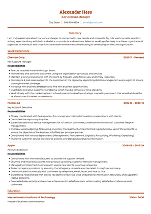 Key Account Manager CV Example and Template