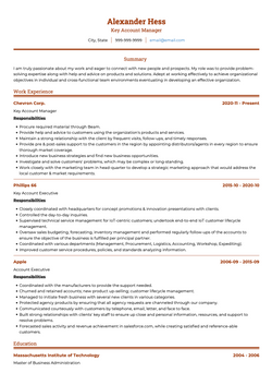 Key Account Manager Resume Sample and Template