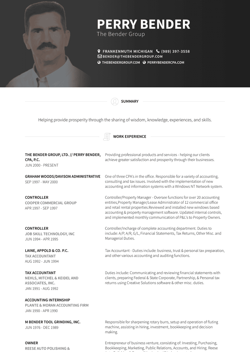 The Bender Group, Ltd. // Perry Bender, Cpa, P.C. Resume Sample and Template