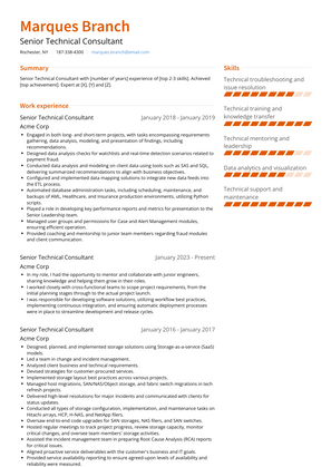 Senior Technical Consultant Resume Sample and Template