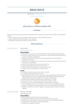 Sales Director Resume Sample and Template