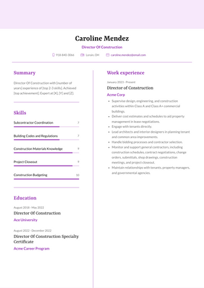 Director Of Construction Resume Sample and Template