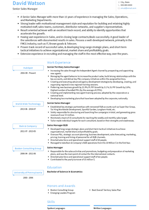 Senior Sales Manager Resume Sample and Template