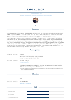 Investor Resume Sample and Template