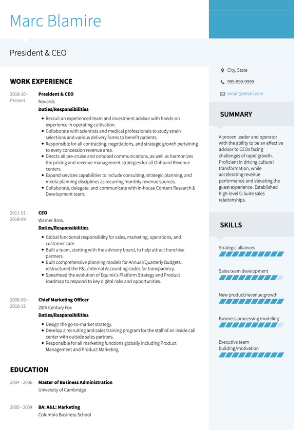 CEO CV Examples & Templates | VisualCV