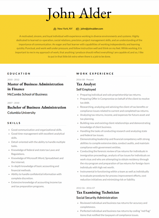 VisualCV's Elegant Modern CV Template