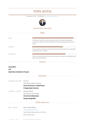 Senior Sales Representative Resume Sample and Template