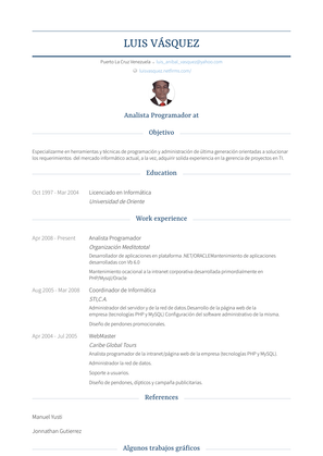 Analista Programador Resume Sample and Template