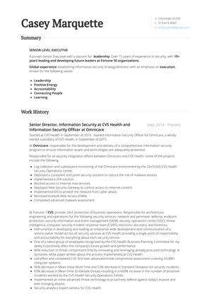 Senior Director, Information Security Resume Sample and Template