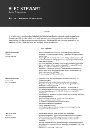 Senior Programmer Resume Sample and Template