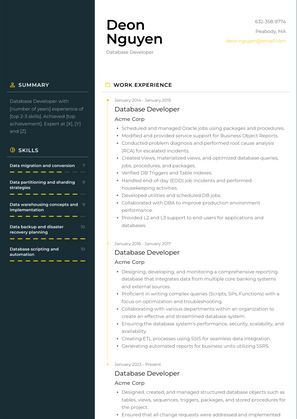 Database Developer Resume Sample and Template