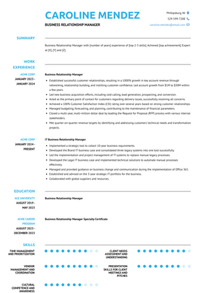 Business Relationship Manager Resume Sample and Template