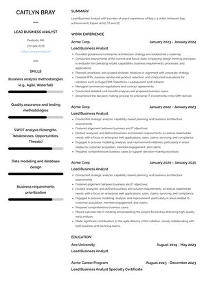 Lead Business Analyst Resume Sample and Template