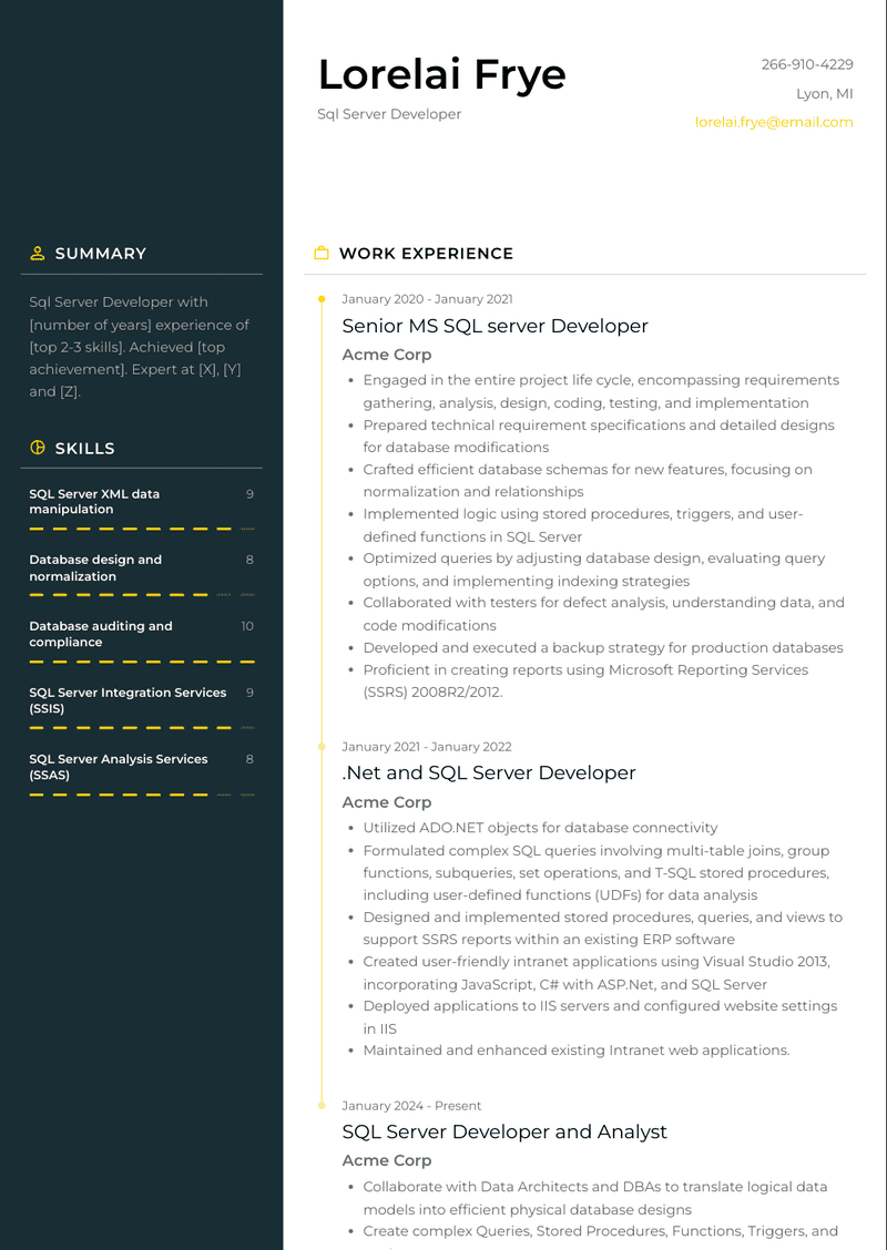 Sql Server Developer Resume Sample and Template