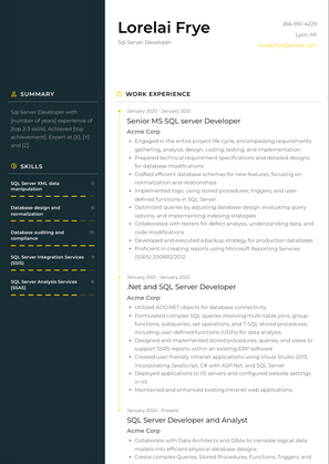 Sql Server Developer Resume Sample and Template