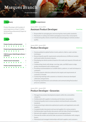 Product Developer Resume Sample and Template