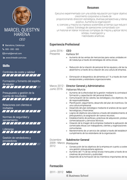 Ejecutivo Resume Sample and Template