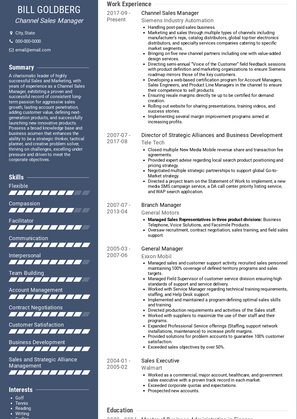 Channel Sales Manager Resume Sample and Template