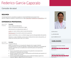 Plantilla y ejemplo de Consultor de salud CV