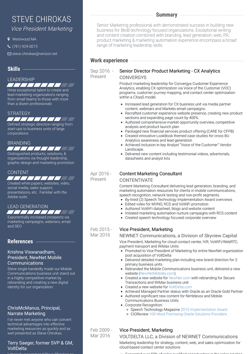 Vice President, Marketing Resume Sample and Template