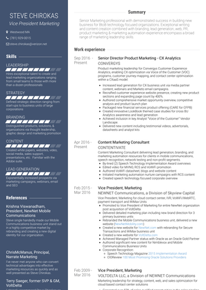 Vice President, Marketing Resume Sample and Template