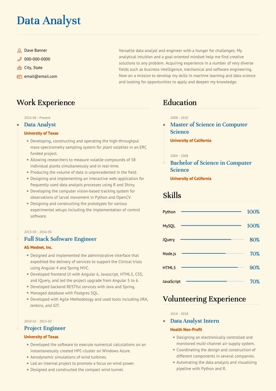 bravo simple resume template