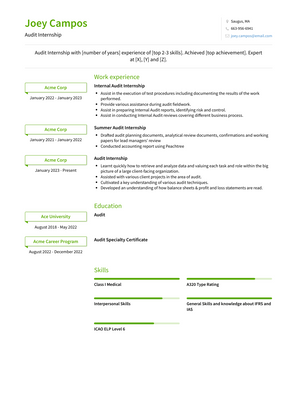 Audit Internship Resume Sample and Template