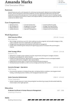 Chief Executive Officer Resume Sample and Template