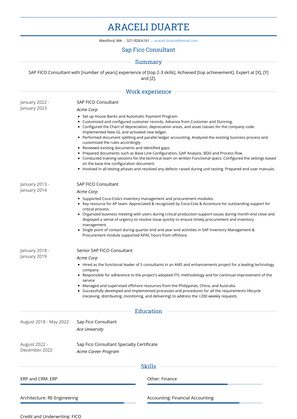 Sap Fico Consultant Resume Sample and Template