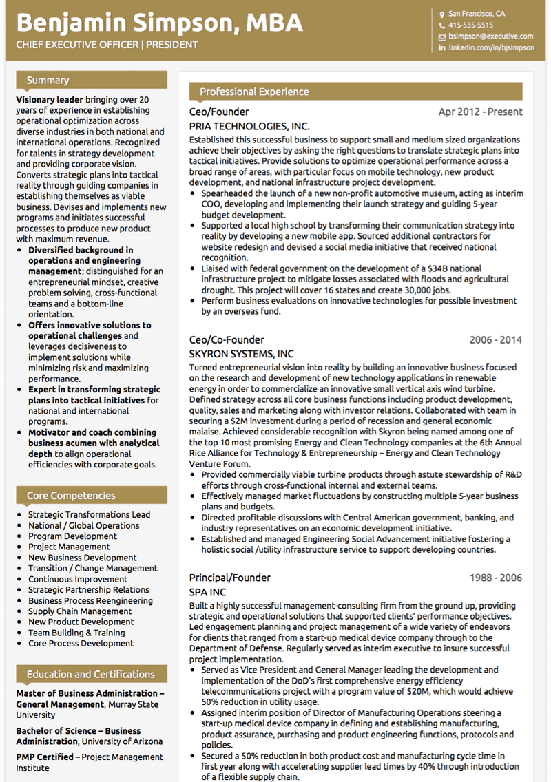 CEO CV Example and Template