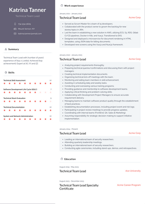 Technical Team Lead Resume Sample and Template