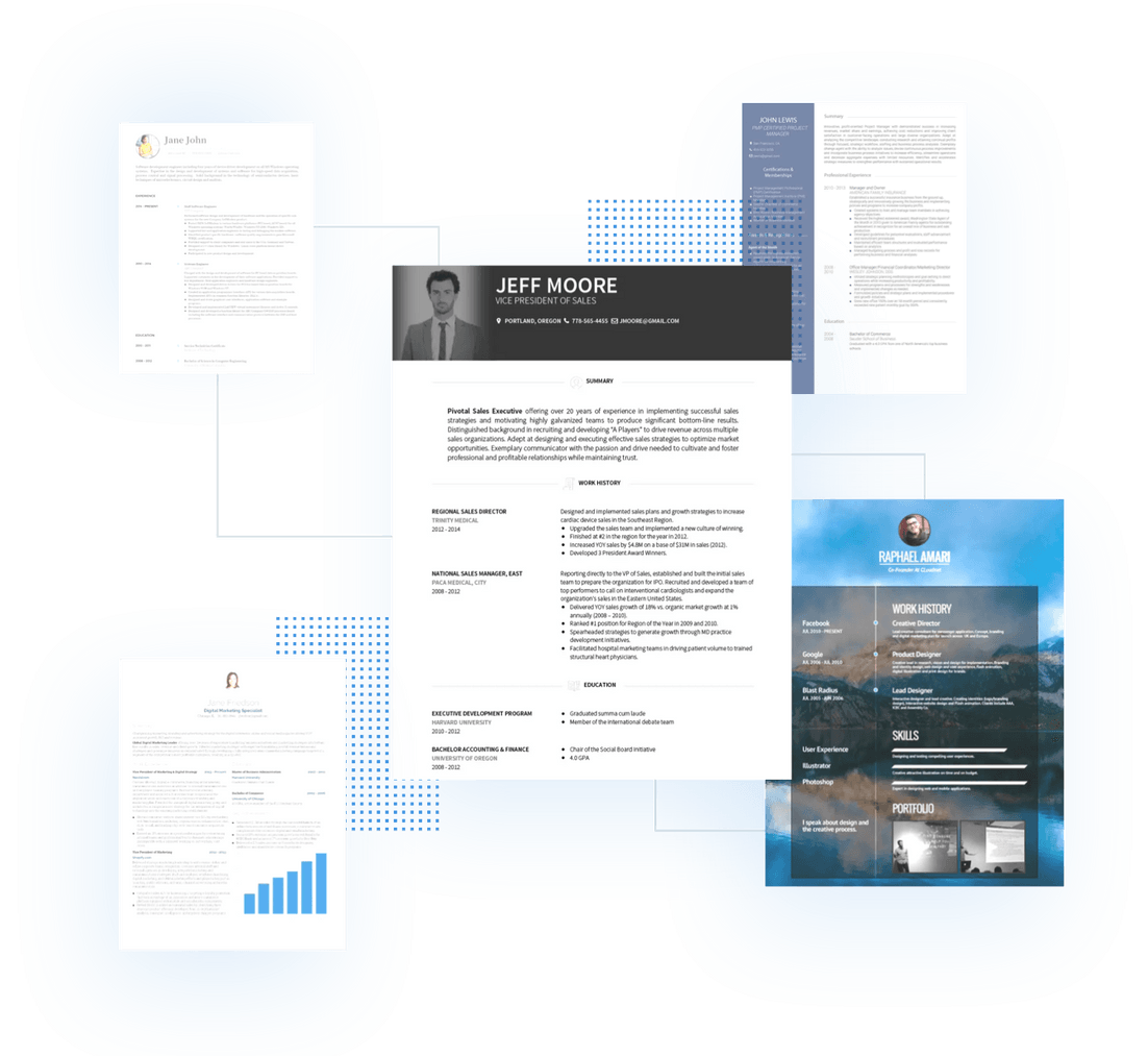 Professional CV Templates 20 Options To Improve Your CV VisualCV