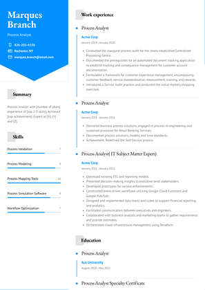 Process Analyst Resume Sample and Template