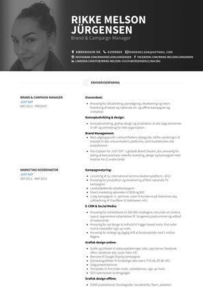 Acquisition & Brand Manager Resume Sample and Template