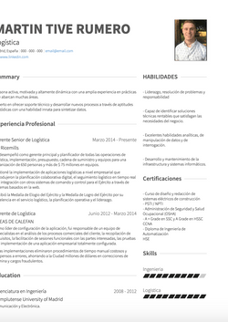 Logística Resume Sample and Template