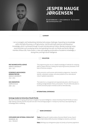 Cofounder And Internal Consultant Resume Sample and Template